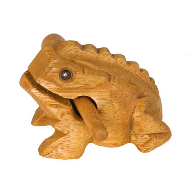 Rainforest Montessori Instrument