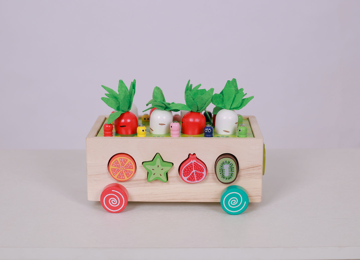 Montessori Garden Shape Sorter