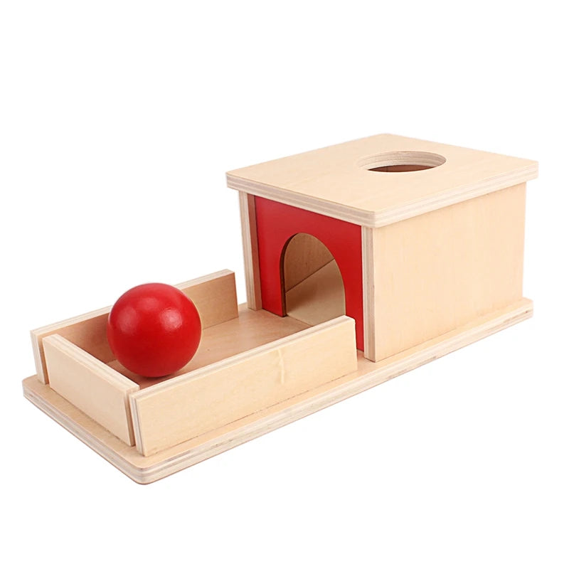Montessori Ball Drop