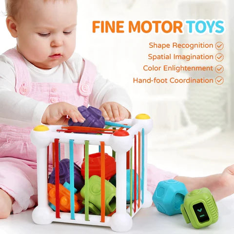 Montessori Sorting Cube