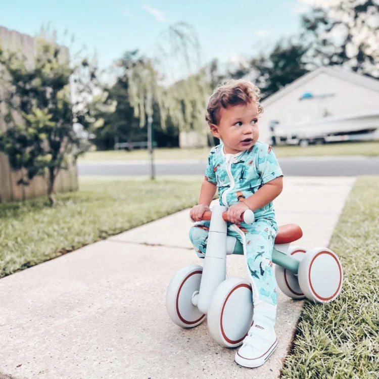 Montessori Baby Balance Bike