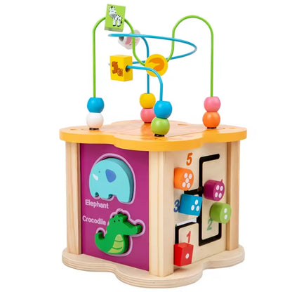 Montessori Activity Cube