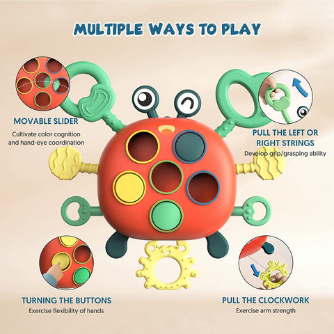 Montessori Crab Pulling Toy