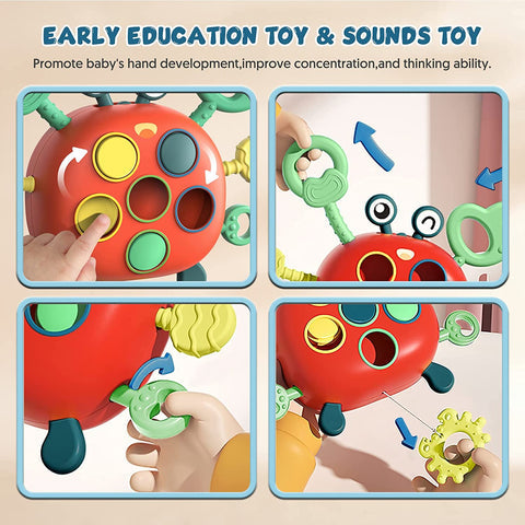 Montessori Crab Pulling Toy