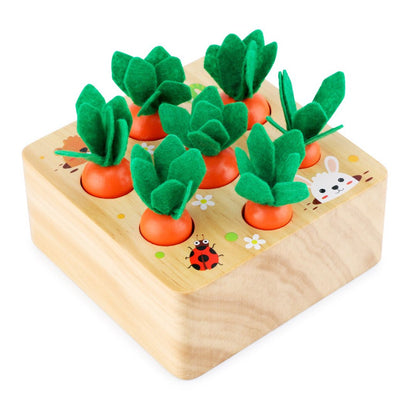 Montessori Carrots Harvest Box