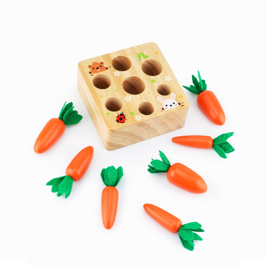 Montessori Carrots Harvest Box