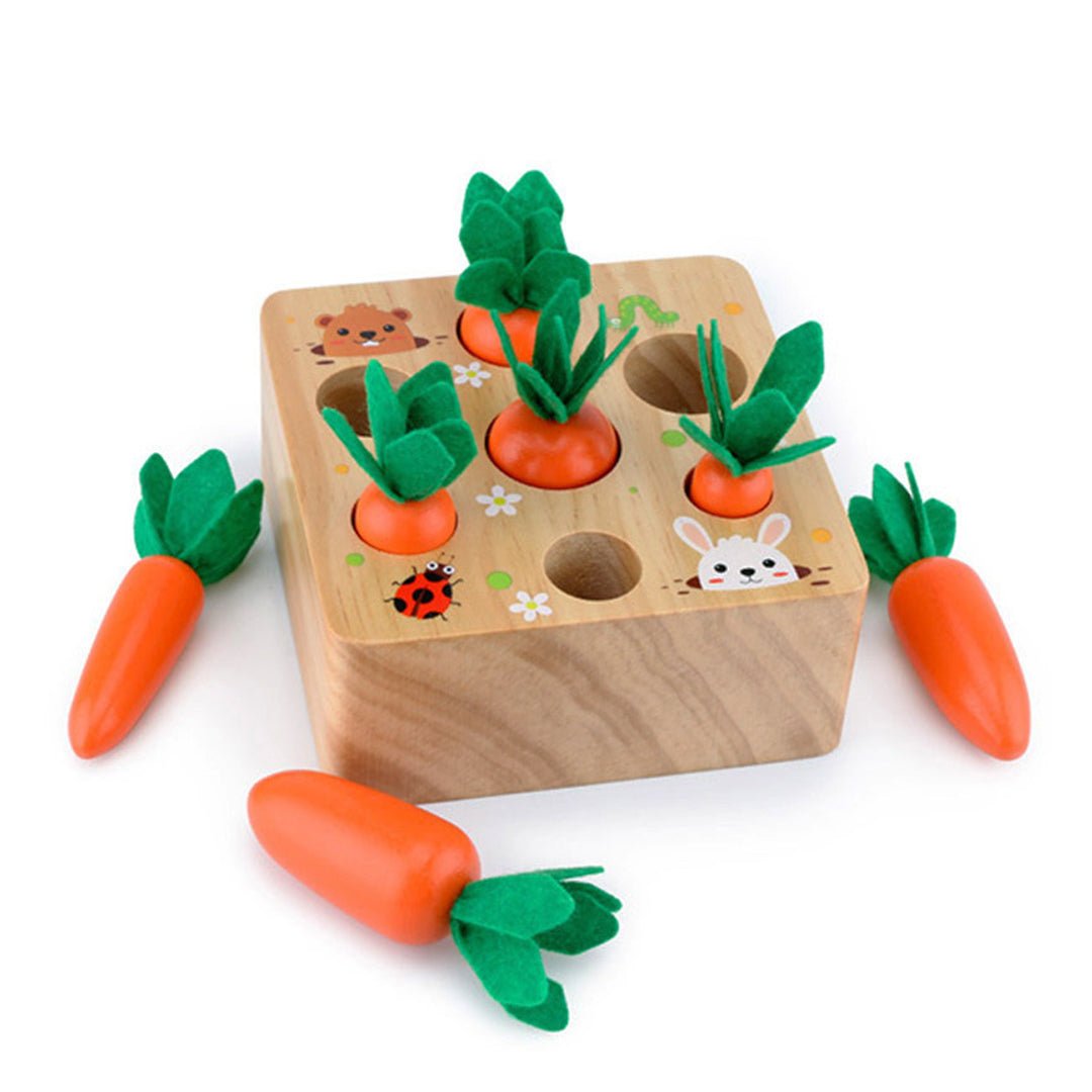 Montessori Carrots Harvest Box