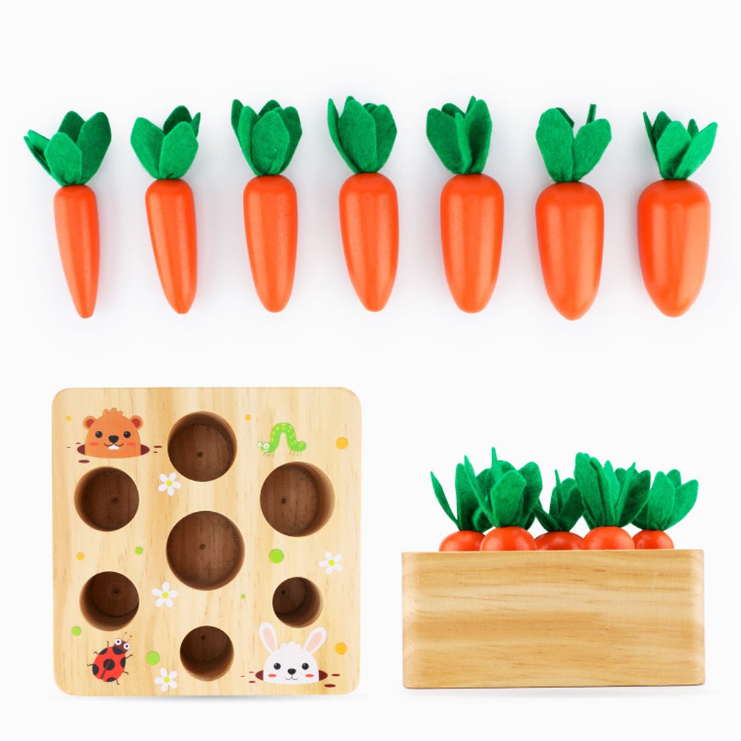 Montessori Carrots Harvest Box