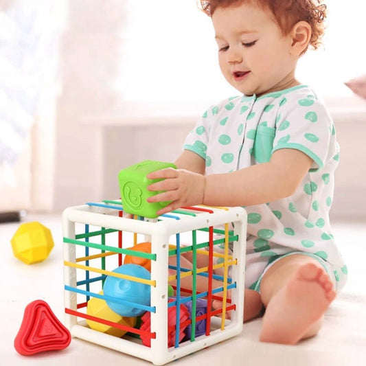 Montessori Sorting Cube